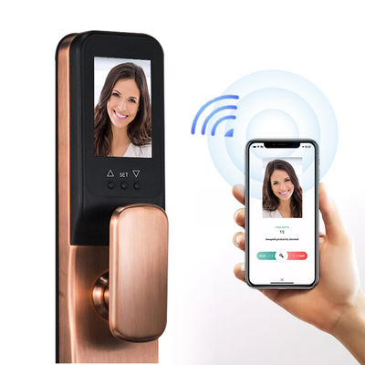 Wifi Tuya Smart Lock Kontrola dostępu 3D Rozpoznawanie twarzy Blokada drzwi